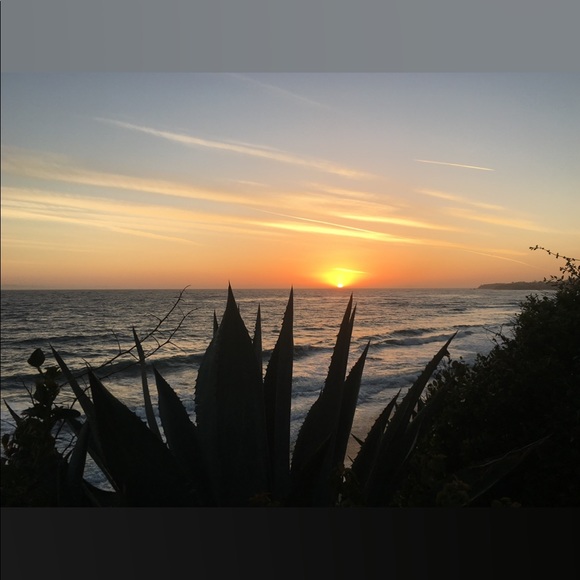 Meet your Posher, Xiaoyang - Picture 1 of 1